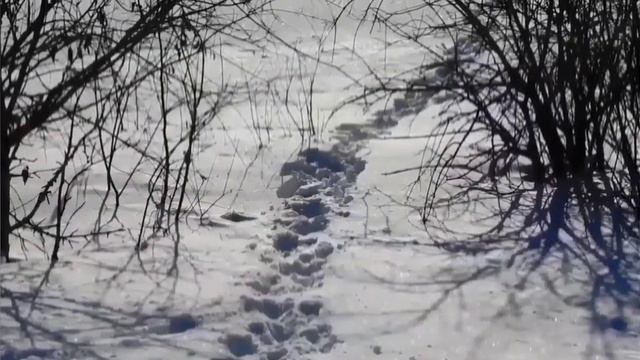 ВЕРНУЛ СВОЮ ЕДИНСТВЕННУЮ. ОЛЬГА УРАЛОЧКА LIVE.