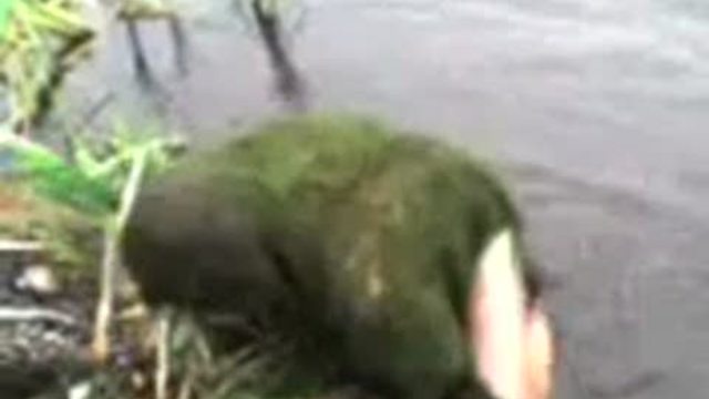 водяной
