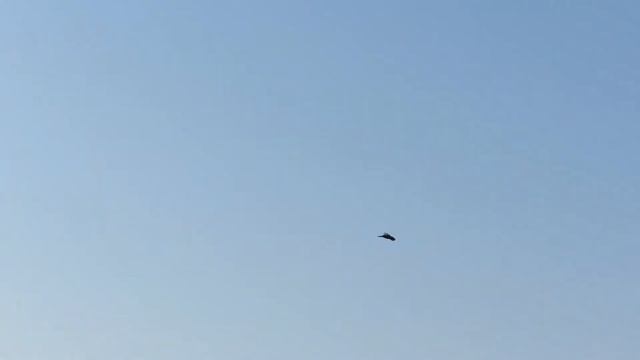 Полет канюка смотреть онлайн