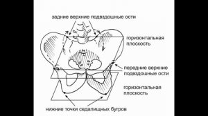 Ознакомительный фрагмент книги-руководства врача лфк Жданова В. А. Тело в дело! Самооздоровление