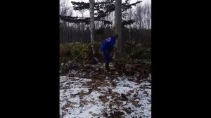 На лесоповале