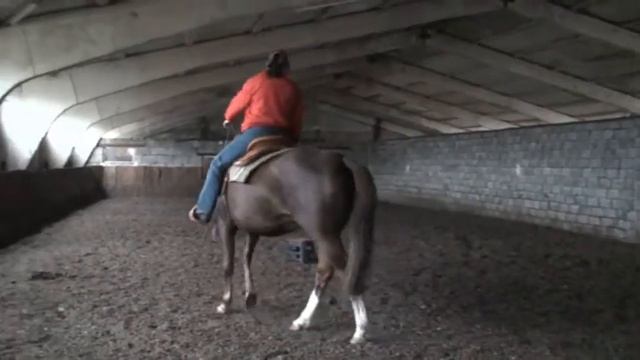 Вестерн: боковые сгибания на шагу смотреть онлайн