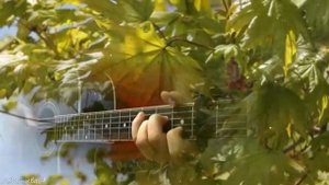 БЕЛАЯ БЕРЕЗА *** Дворовая песня 70-х