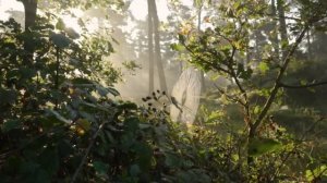 7 признаков слабого человека