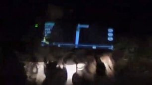 В Астрахани стадо верблюдов напало на автомобиль с пассажирами