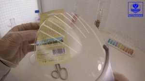 Огурец Атлет F1. Гавриш