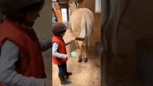 Дети и конный спорт✨