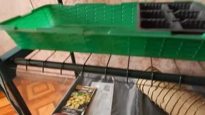 Домашний Парник для Рассады - часть 1