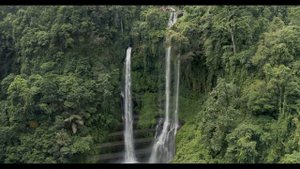 Yaima Odonata Official Music Video