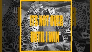 ITS NOT OVER UNTIL I WIN