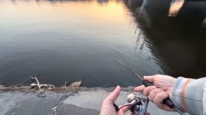 Рыбалка на  Воронежском водохранилище. Не за рыбой, а удовольствием! (Воронеж, Микроджиг, Фарио)