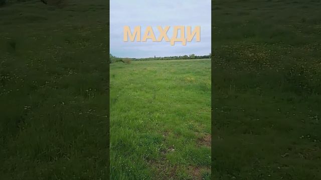 разве Имам Махди болшое из признак судни день??