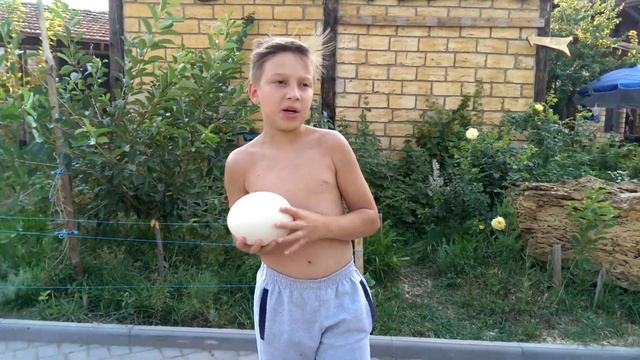 Необычный приз - страусиное яйцо смотреть онлайн