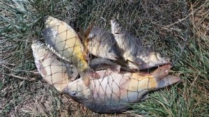 23 09 2020 Осенняя рыбалка на выезде из ст Незлобной Георгиевского района