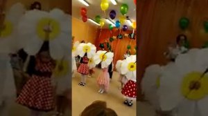 А ромашковое поле зацвело.