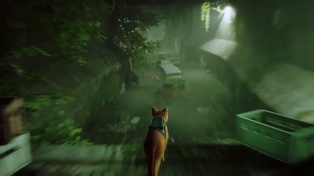 STRAY ИНФО НА ПРЕДРЕЛИЗЕ ( РЕЛИЗ 19 ИЮЛЯ) смотреть онлайн