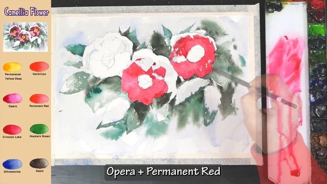 Winter Camellia Flower - Flower Watercolor (color name view, watercolor material)NAMIL ART смотреть онлайн