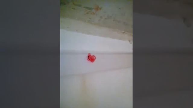 Усточнение по установки багета для натяжного потолка смотреть онлайн