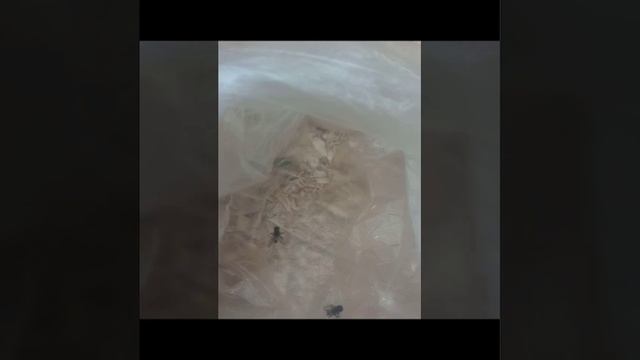 Как убрать ссоры из семьи смотреть онлайн