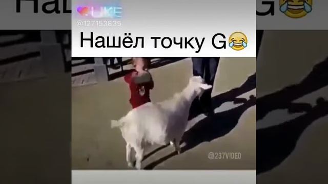 Нашёл точку Г