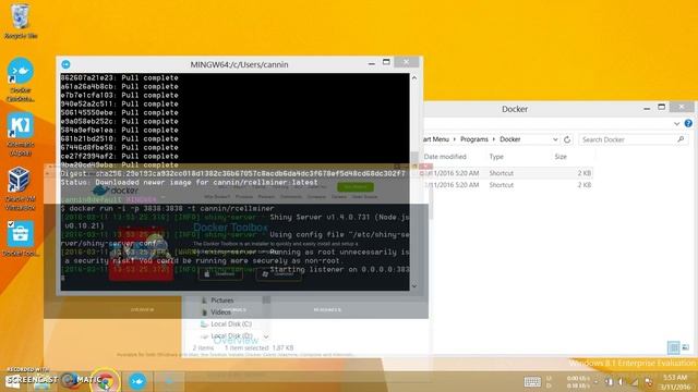 Run rcellminer Docker Image смотреть онлайн