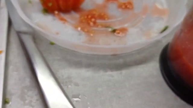 Перец фаршированный куриным фаршем ? В мультиварке ? Быстро и вкусно ? #перецфаршированный