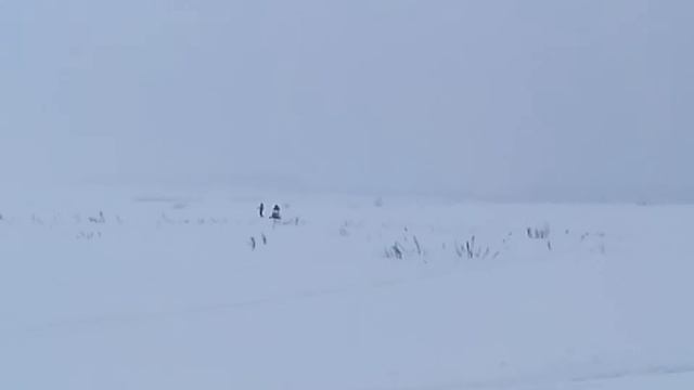 Снегоход и сноуборд смотреть онлайн