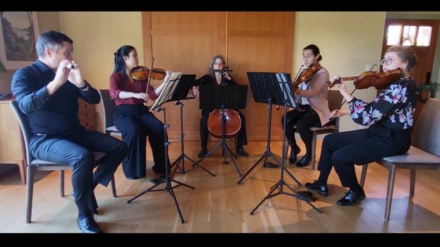 Boccherini flute quintet selections (Op. 17) смотреть онлайн