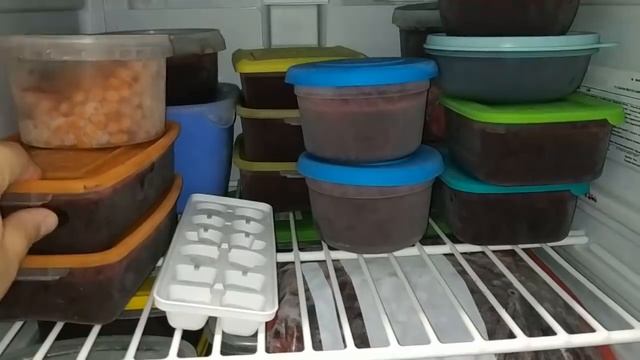 ЧТО МЫ ЗАМОРОЗИЛИ В ЛАРЯХ И МОРОЗИЛКАХ? смотреть онлайн