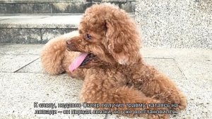 В гостях: как выглядит поместье 63-летнего Игоря Скляра