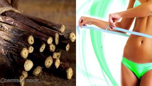 ➤ Польза корня солодки ➤