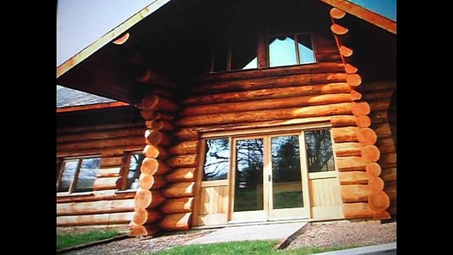 ВИТАЛИК И АНГЕЛИНА     ЛОХ НЕ МАМОНТ НИКОГДА НЕ ВЫМРЕТ