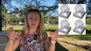 Потерянные посылки /Что делать с ненужными находками?/ Красивый парк для всех возрастов/США /Флорид