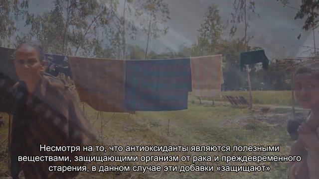 Датские эксперты обнаружили в 70% жвачки опасные вещества смотреть онлайн