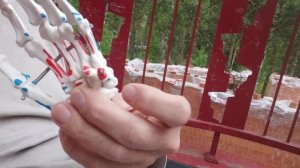 У любого человека 6 пальцев на руках. Секретное видео