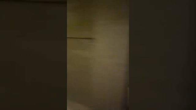 Обзор аква-термальной зоны спа-отеля “ШишкiNN” смотреть онлайн