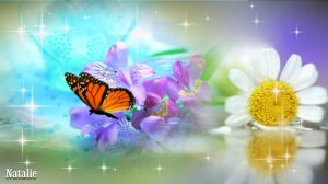 Красивая музыка