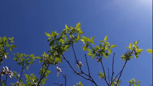 Kalevi Korpi: Rakkaani 1976 смотреть онлайн