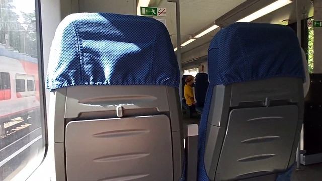 Карпы кои??| Продала игрушки ☺| Прогулка по Светлогорску??? смотреть онлайн