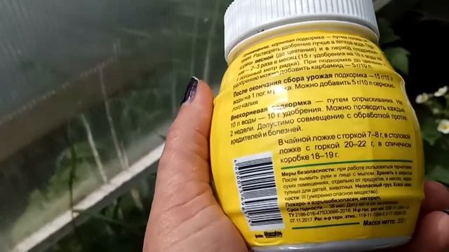 ПОДКОРМКА КЛУБНИКИ.