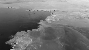 "Дорога жизни" блокадного Ленинграда