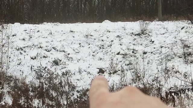 Охота на Анаконду смотреть онлайн