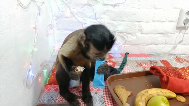 Распаковка новогодних подарков от Дани!