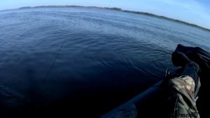 ЛОВЛЯ ЧЕХОНИ С ЛОДКИ НА ВОЛГЕ