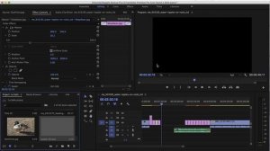 How to preserve color from Photoshop to Premiere Pro CC: Importing images into video