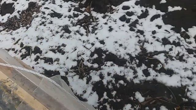 Пасека в феврале 2020 без купюр: расплод, корм, подмор и утепление в ульях из ППС смотреть онлайн