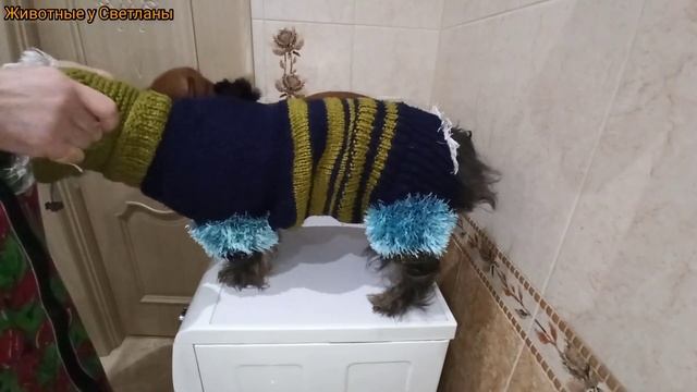 Одеваемся на прогулку. Хвастаемся нарядами ;)) смотреть онлайн