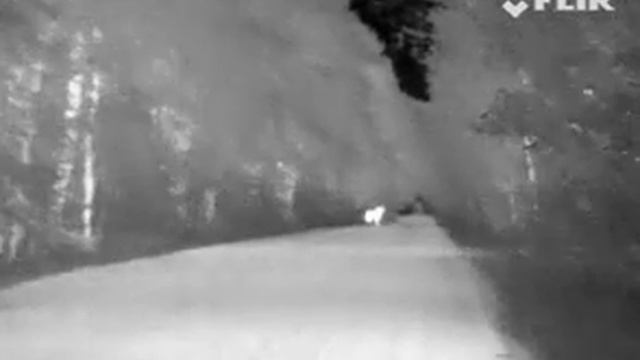 лось смотреть онлайн