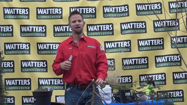 02 02 19 Pruning Class смотреть онлайн