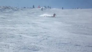 Бобровый лог, Гладенькая. Март 12